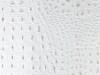 CROCO_BOREAL_BRANCO_1125.jpg