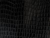 CROCO_ITALIANO_PRETO_1000.jpg