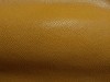 FLOATER_GOLD_10316.jpg