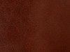 ROMA_CASTANHO_5190.jpg