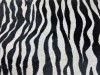 ZEBRA_BRANCA_E_PRETA.jpg