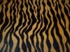 ZEBRA_CARAMELO.jpg